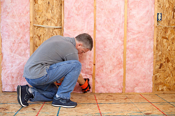 Best Commercial Insulation Contractor  in Carmel, IN