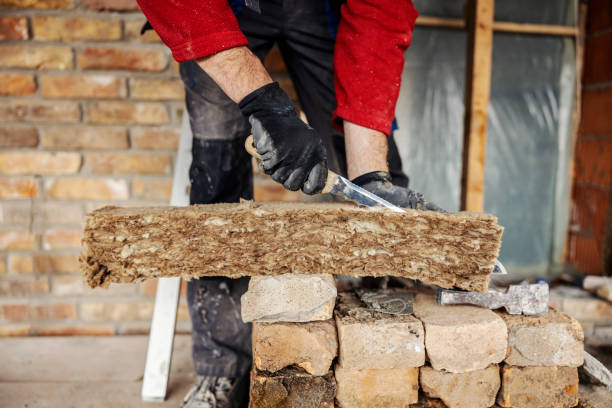 Best Attic Insulation Installation  in Carmel, IN