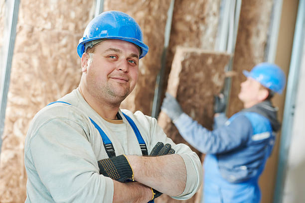 Best Local Insulation Services  in Carmel, IN