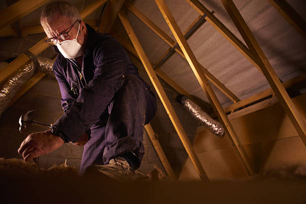 Best Insulation Repair Services  in Carmel, IN