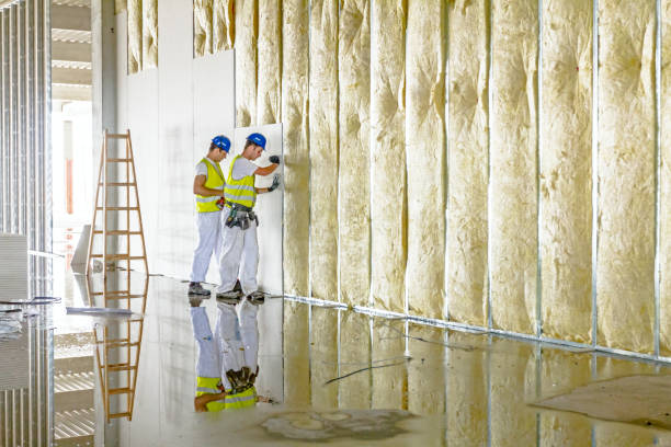 Best Energy-efficient Insulation  in Carmel, IN